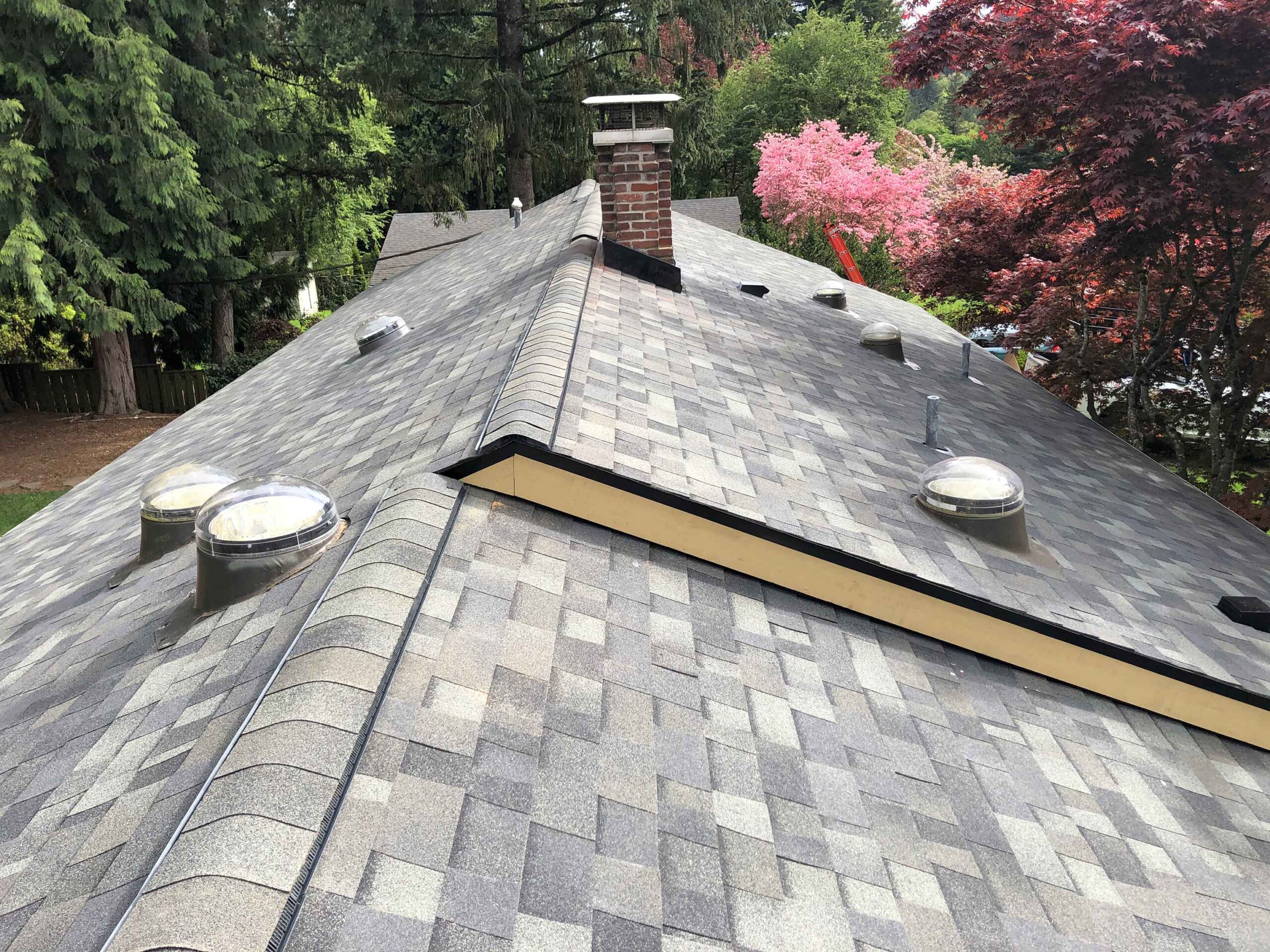 Reliance Roof Pros | Asphalt Homeowner Grade Composition | Lake Oswego