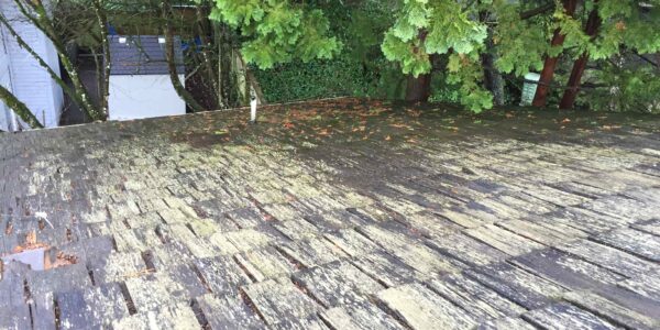 Reliance Roof Pros | Maintaining Cedar Roofs