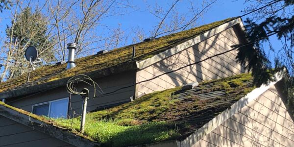 Reliance Roof Pros | Repairs Asphalt Composition